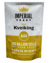 Brasser sa propre bière : Levure Kveiking A44 - Imperial Yeast - KVEIKING-A44