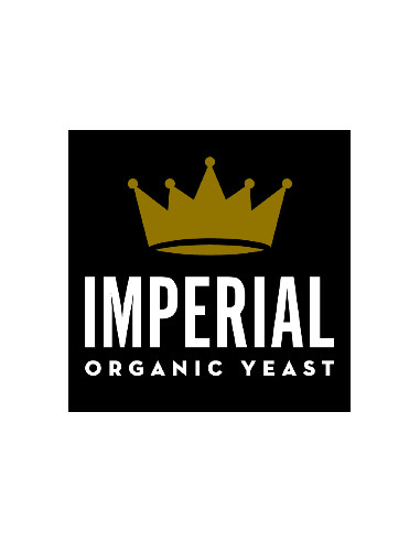 Brasser sa propre bière : Levure Kveiking A44 - Imperial Yeast - KVEIKING-A44 Brasser sa propre bière : Levure Kveiking A44 - Imperial Yeast - KVEIKING-A44