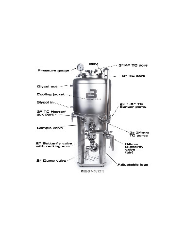 Brasser sa propre bière : Fermenteur F80 Unitank Capacité de 20 à 75 litres - 7712786