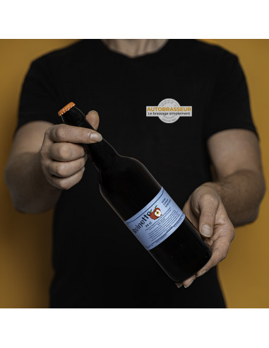 Brasser sa propre bière : Reinette 24 cl pour 30 litres de boisson - REI250ML Brasser sa propre bière : Reinette 24 cl pour 30 litres de boisson - REI250ML