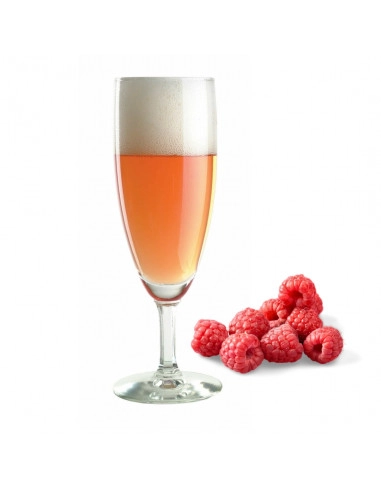 Brasser sa propre bière : Muntons Taproom Framboise Sour - 17L - 056.230.9