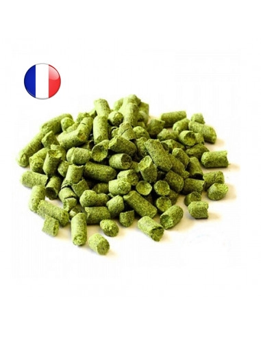 Brasser sa propre bière : Chinook (FR) - CHINOK-P90