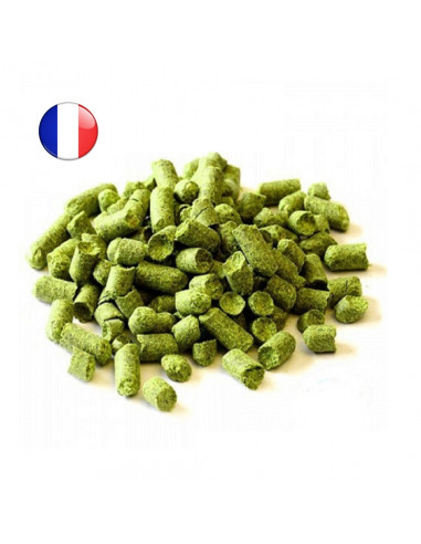 Brasser sa propre bière : Saaz (FR) - saazfr-P90 Brasser sa propre bière : Saaz (FR) - saazfr-P90