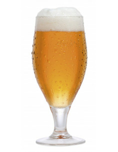 Brasser sa propre bière : Indian Ale - 20L - concassé - 056.036.7