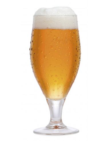kit de malt BREWFERM INDIANA ALE pr 20 ltrs 