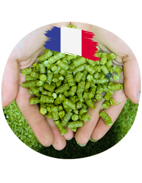 Brasser sa propre bière : Golding (FR) - GOLD-P90 Brasser sa propre bière : Golding (FR) - GOLD-P90