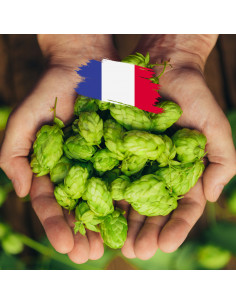 Brasser sa propre bière : Nugget en cône (FR) 2025 - 250 gr - NUGG-CONE