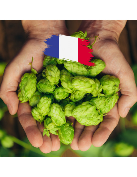 Brasser sa propre bière : Nugget en cône (FR) 2024 - 250 gr - NUGG-CONE Brasser sa propre bière : Nugget en cône (FR) 2024 - 250 gr - NUGG-CONE