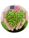 Brasser sa propre bière : Citra (US) - CITRA-P90