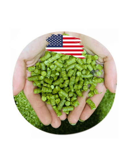 Brasser sa propre bière : Sorachi Ace (US) - SORACHI-P90