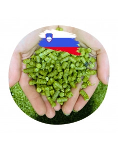 Brasser sa propre bière : Aurora/Super Styrian (SI) - AURORA-P90