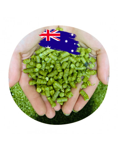 Brasser sa propre bière : Superdelic™ (NZ) - SUPERDE-P90