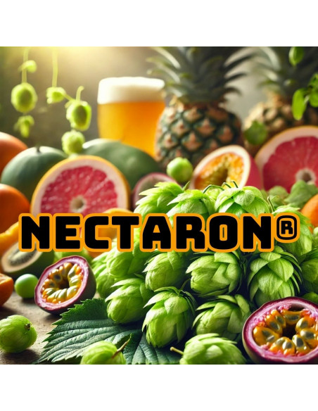 Brasser sa propre bière : Nectaron® (NZ) - SUPERDE-P90
