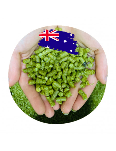 Brasser sa propre bière : Nectaron® (NZ) - SUPERDE-P90