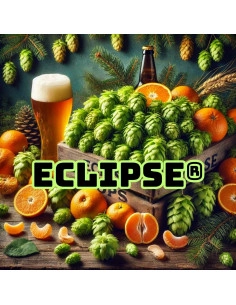 Brasser sa propre bière : Eclipse® (AU) - ECLIP-P90