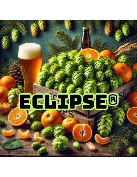 Brasser sa propre bière : Eclipse® (AU) - ECLIP-P90