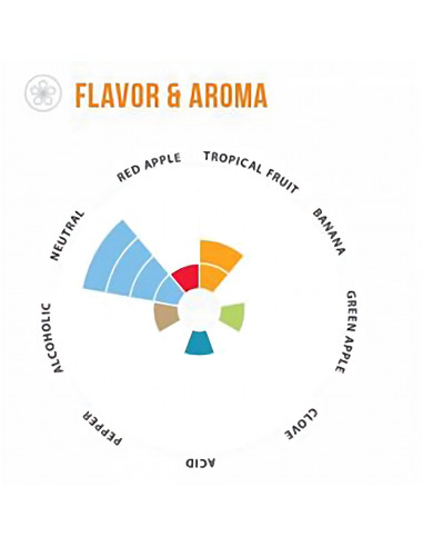 Brasser sa propre bière : Voss™ Kveik LalBrew Lallemand - 500gr - 050.632.9