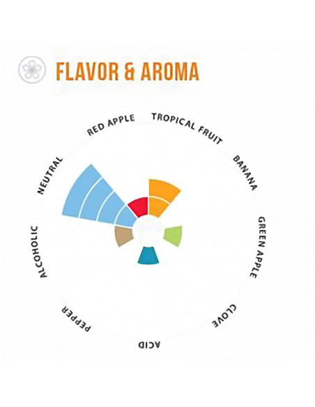 Brasser sa propre bière : Voss™ Kveik LalBrew Lallemand - 500gr - 050.632.9