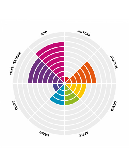 Brasser sa propre bière : Pinnacle levure de bière sèche Crisp Sour 11,5 gr - 050.884.1 Brasser sa propre bière : Pinnacle levure de bière sèche Crisp Sour 11,5 gr - 050.884.1