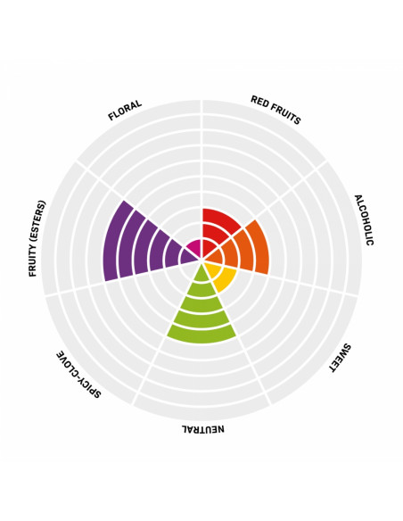 Brasser sa propre bière : Pinnacle levure de bière sèche Heritage English Ale 11,5 gr - 050.882.1 Brasser sa propre bière : Pinnacle levure de bière sèche Heritage English Ale 11,5 gr - 050.882.1