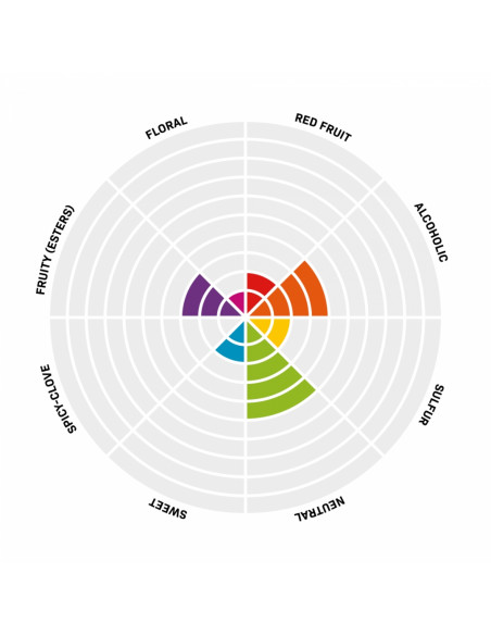 Brasser sa propre bière : Pinnacle levure de bière sèche Heritage Pilsner 11,5 gr - 050.883.1 Brasser sa propre bière : Pinnacle levure de bière sèche Heritage Pilsner 11,5 gr - 050.883.1