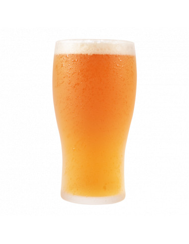 Brasser sa propre bière : Kit de bière Muntons Flagship American Pale Ale 3 kg - 056.243.9