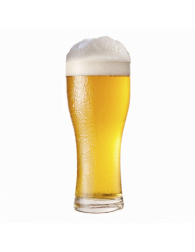 Brasser sa propre bière : Kit de bière Flagship Kolsch - Muntons - 1783 Brasser sa propre bière : Kit de bière Flagship Kolsch - Muntons - 1783