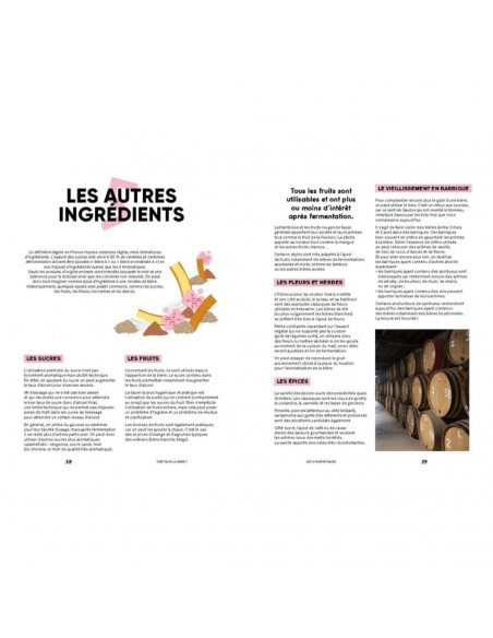 Brasser sa propre bière : Le guide de la craft beer - Brique House - HACH Brasser sa propre bière : Le guide de la craft beer - Brique House - HACH