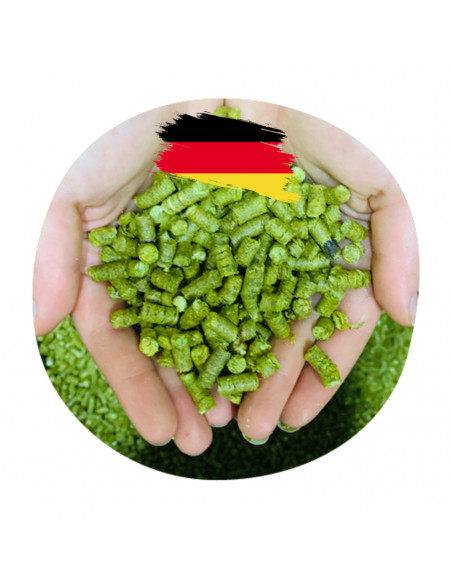 Brasser sa propre bière : Hallertau Blanc (DE) - HALLBLANC-P90 Brasser sa propre bière : Hallertau Blanc (DE) - HALLBLANC-P90