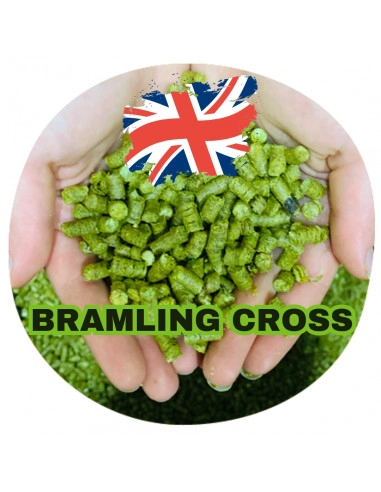 Brasser sa propre bière : Bramling Cross (UK) - BC-P90