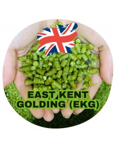Brasser sa propre bière : East kent golding (EKG) (UK) - EKG-P90