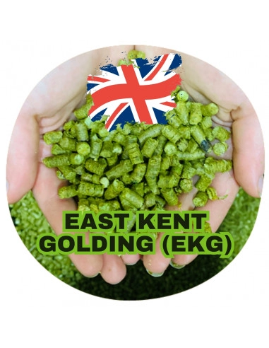 Brasser sa propre bière : East kent golding (EKG) (UK) - EKG-P90
