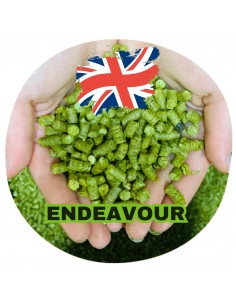 Brasser sa propre bière : Endeavour (UK) - END-P90
