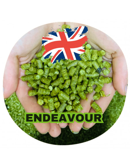 Brasser sa propre bière : Endeavour (UK) - END-P90 Brasser sa propre bière : Endeavour (UK) - END-P90