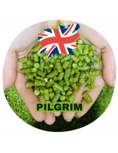 Brasser sa propre bière : Pilgrim (UK) - PIL-P90