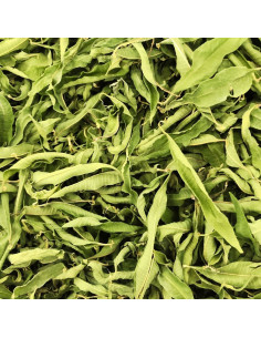 Brasser sa propre bière : Verveine odorante (feuille entière) - 250gr - VERVEI1