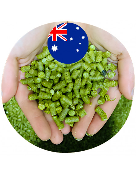 Brasser sa propre bière : Eclipse® (AU) - ECLIP-P90