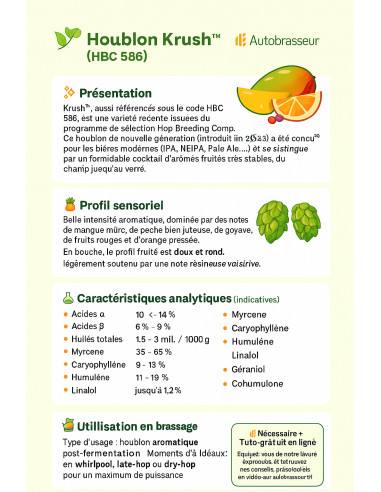 Brasser sa propre bière : Krush™ (HBC 586) - KRUSH-P90