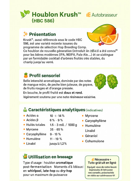 Brasser sa propre bière : Krush™ (HBC 586) - KRUSH-P90