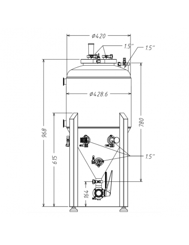 Brasser sa propre bière : Cuve de fermentation U60 Unitank - Brew Monk™ - 017.075.60