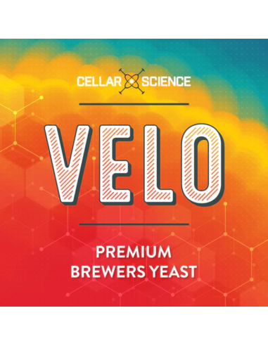 Brasser sa propre bière : Levure de bière VELO Ale - 500 gr - CellarScience - KL47951 Brasser sa propre bière : Levure de bière VELO Ale - 500 gr - CellarScience - KL47951