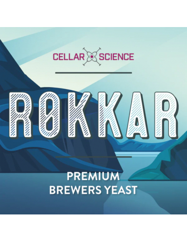 Brasser sa propre bière : Levure de bière RØKKAR - 500 gr - CellarScience - KL47944