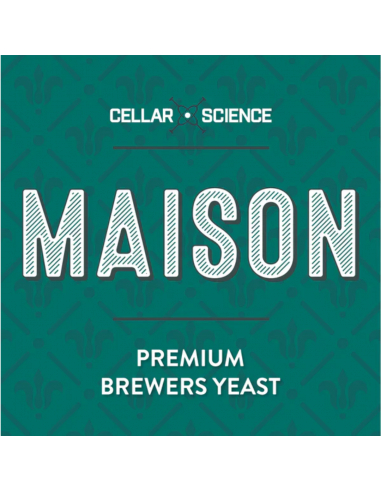 Brasser sa propre bière : Levure de bière belge MAISON - 500 gr - CellarScience - KL48002