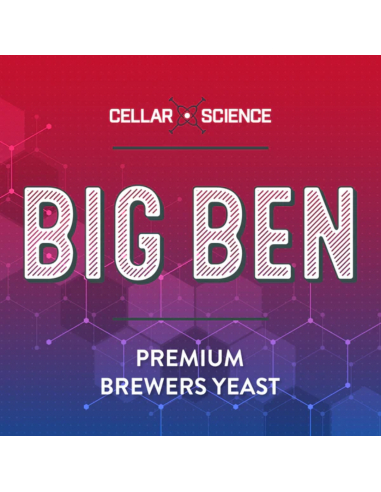 Brasser sa propre bière : Levure de bière anglaise BIG BEN - 500 gr - CellarScience - KL47999