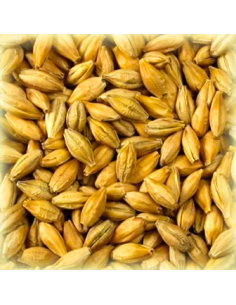 Ingrédient Bière - Malt Pale Maris Otter 6 EBC - Bairds | Autobrasseur