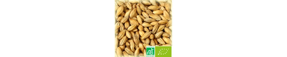 Malts d'orge et flocons pour vos bières biologique | Autobrasseur