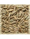 Malts de Seigle