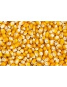 Céréales sans Gluten