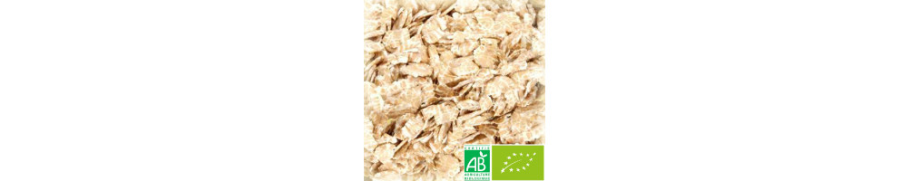 Flocons de blé et d’avoine biologique | Autobrasseur