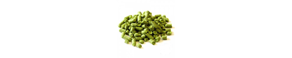Houblon en pellets